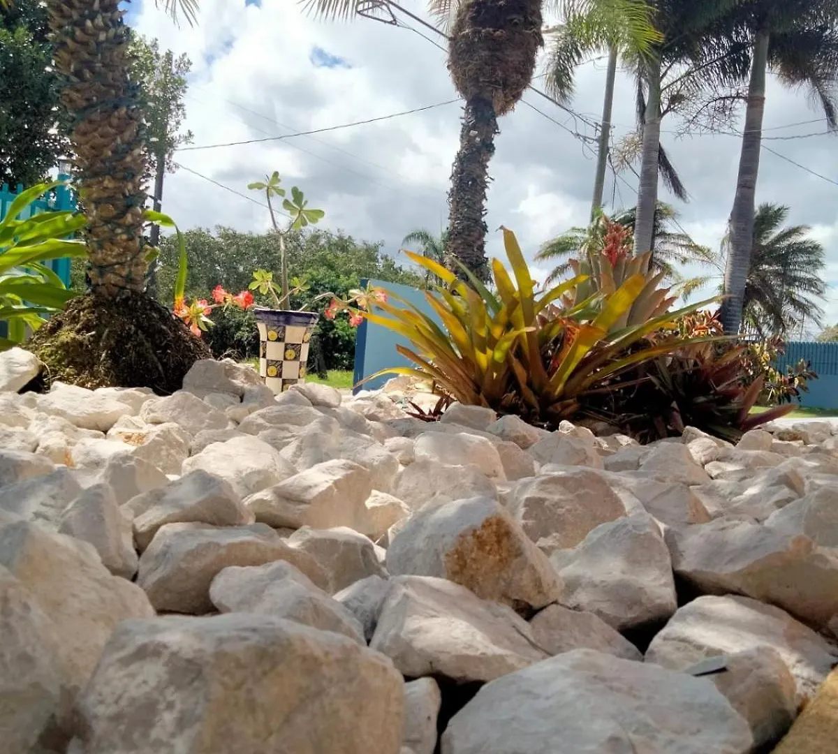 Islote House Camping أريسيبو